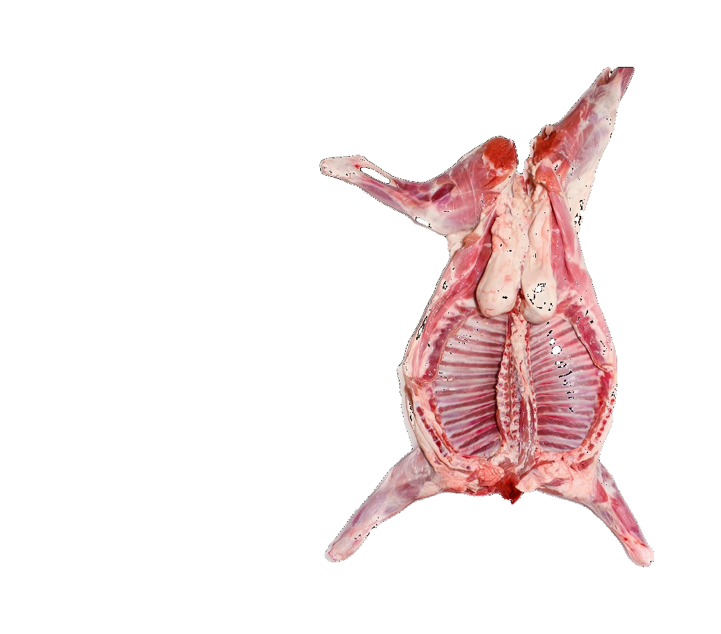 Baby Goat Cabrito wholesale product