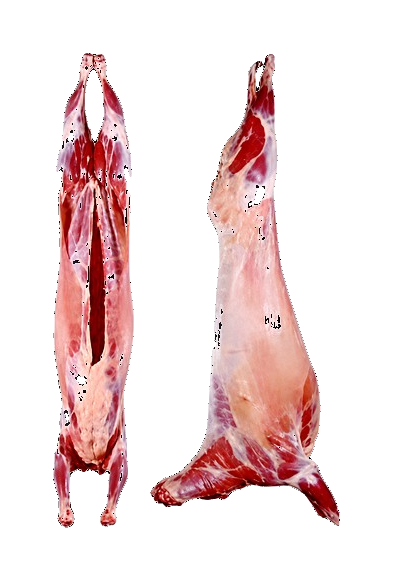 Lamb wholesale collection
