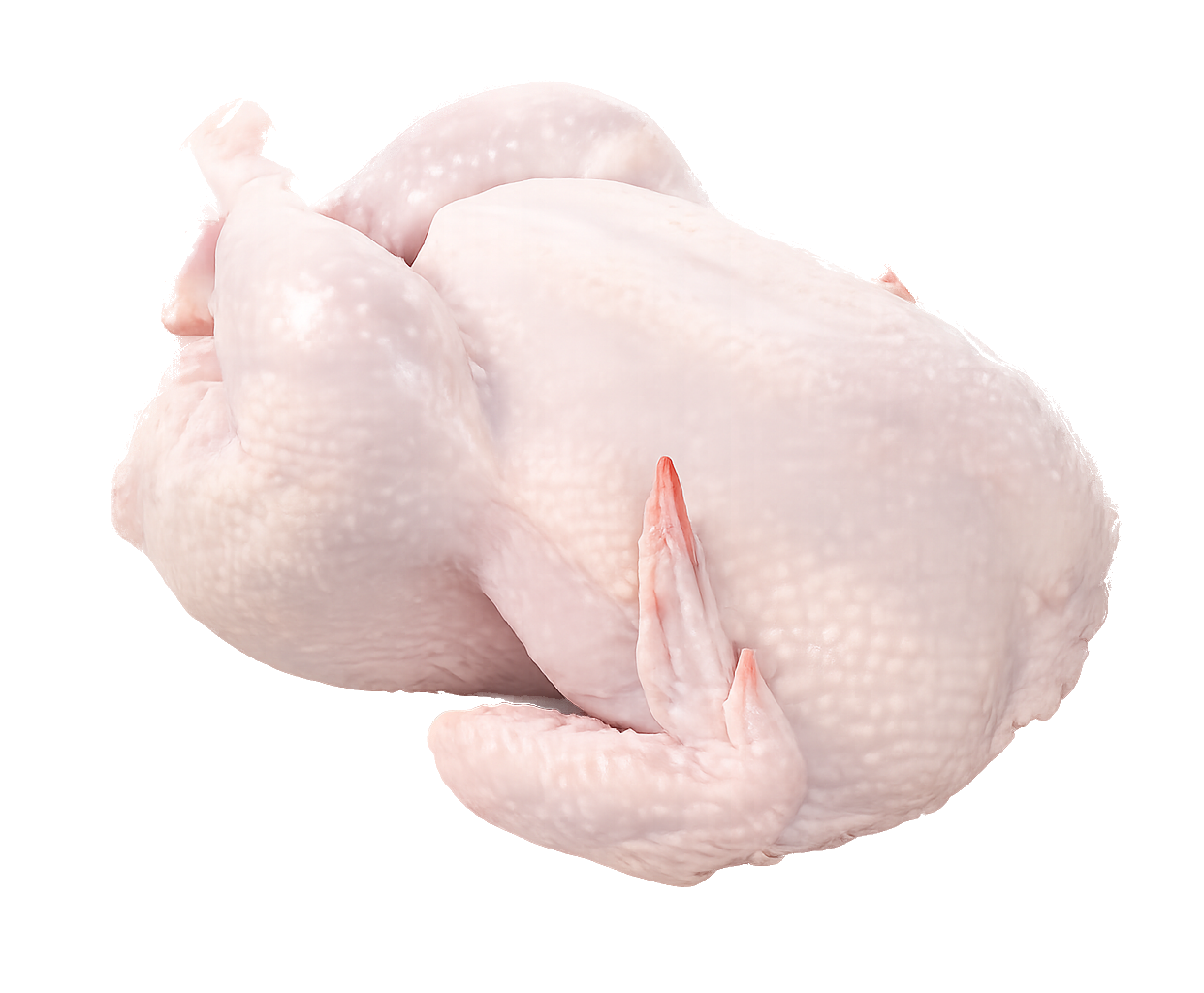 Poultry wholesale collection